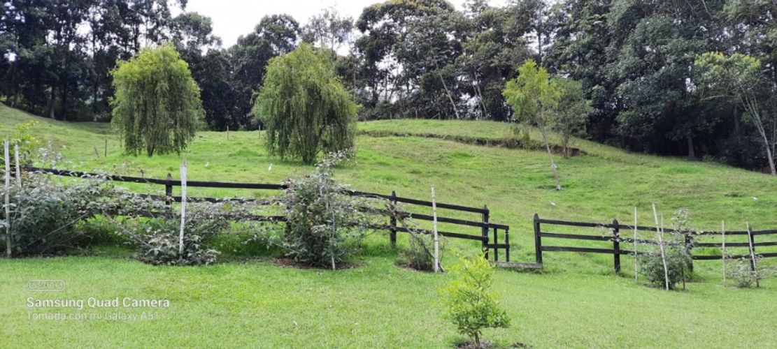 Finca en  Arriendo en El porvenir, Rionegro - Miniatura 14