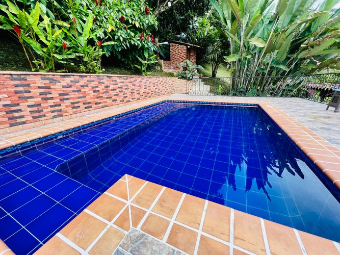 Finca en Venta en El cinco, Venecia - Miniatura 3