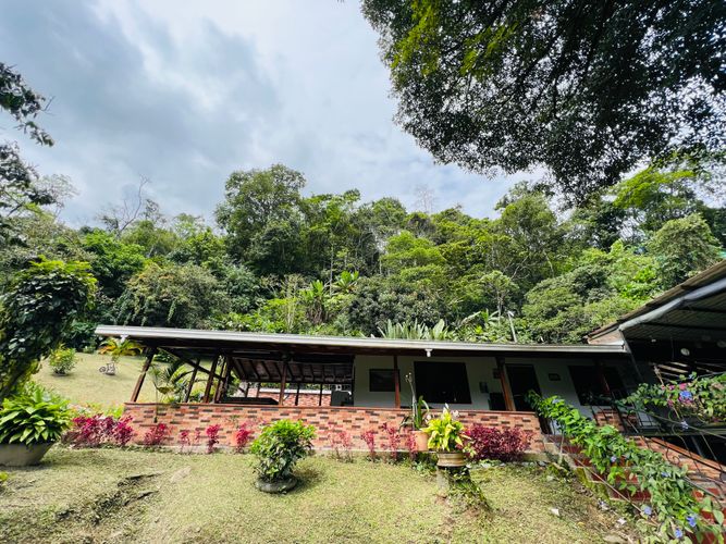 Finca en Venta en El cinco, Venecia - Miniatura 5