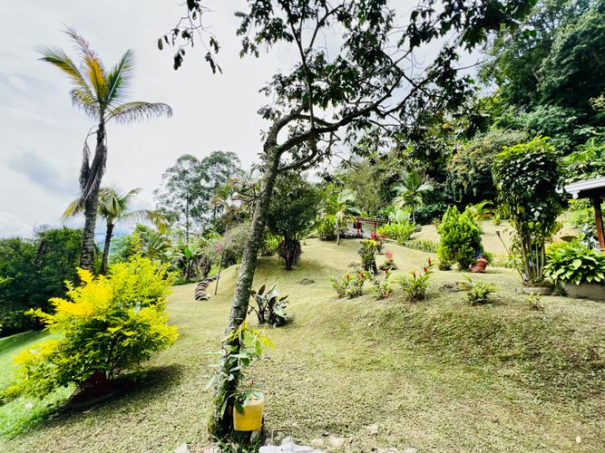 Finca en Venta en El cinco, Venecia - Miniatura 6