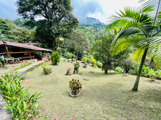 Finca en Venta en El cinco, Venecia - Miniatura 11