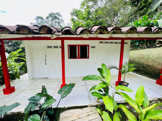 Finca en Venta en El cinco, Venecia - Miniatura 24