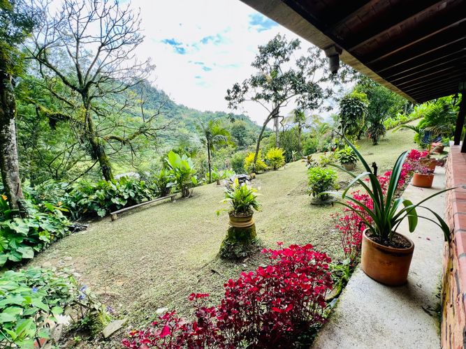 Finca en Venta en El cinco, Venecia - Miniatura 26