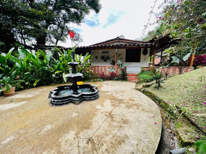 Finca en Venta en El cinco, Venecia - Miniatura 27