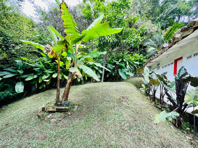Finca en Venta en El cinco, Venecia - Miniatura 29