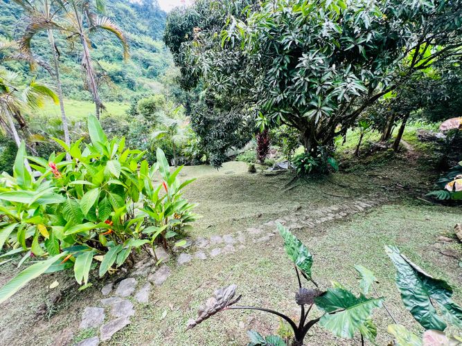 Finca en Venta en El cinco, Venecia - Miniatura 30