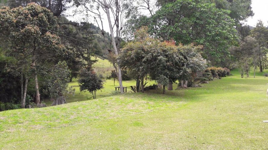 Finca en  Venta en El retiro - Miniatura 18