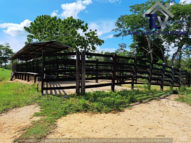 Finca en Venta en Peroles, Barrancabermeja - Miniatura 3