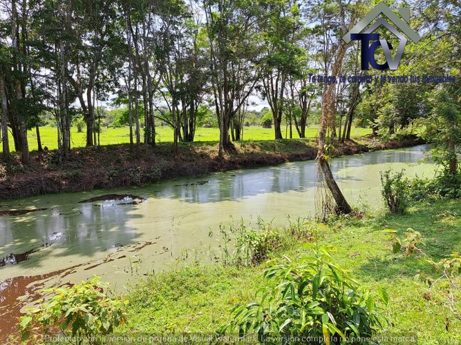 Finca en Venta en Peroles, Barrancabermeja - Miniatura 4