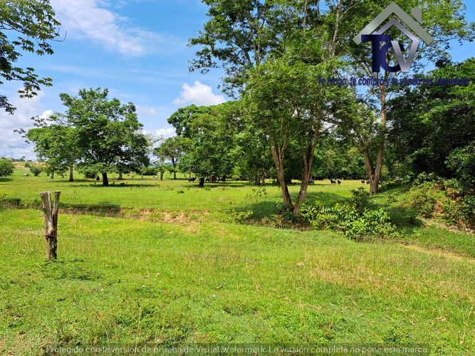 Finca en Venta en Peroles, Barrancabermeja - Miniatura 5