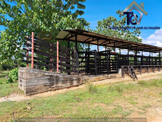 Finca en Venta en Peroles, Barrancabermeja - Miniatura 6