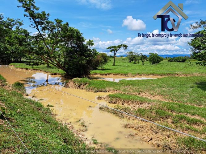 Finca en Venta en Peroles, Barrancabermeja - Miniatura 9