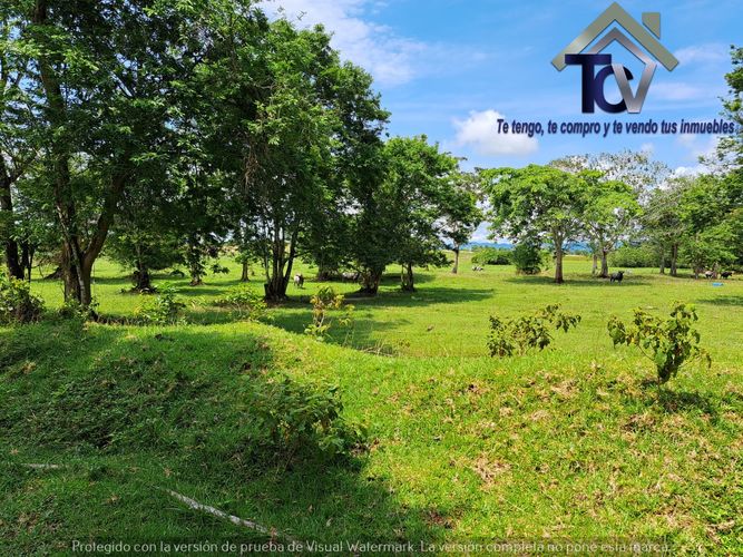 Finca en Venta en Peroles, Barrancabermeja - Miniatura 10