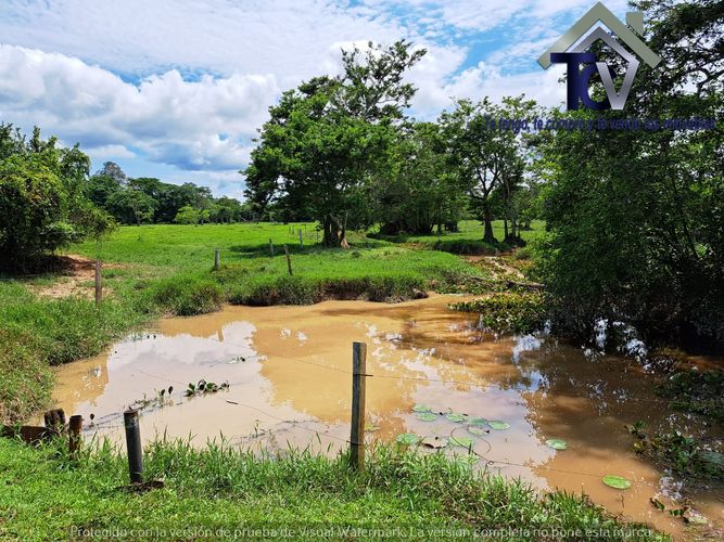 Finca en Venta en Peroles, Barrancabermeja - Miniatura 12