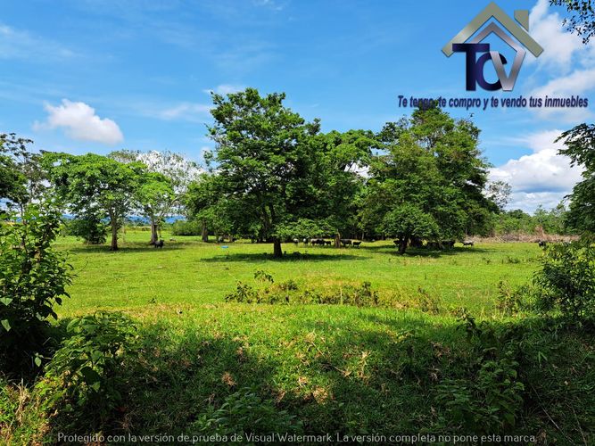 Finca en Venta en Peroles, Barrancabermeja - Miniatura 13
