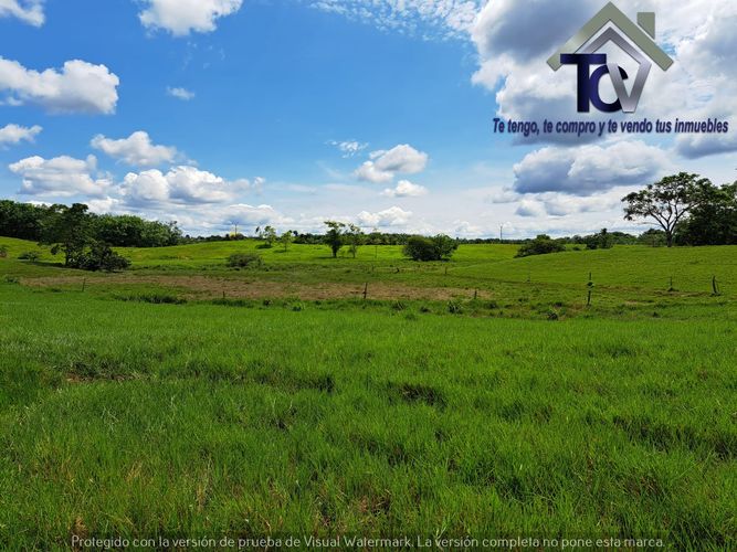 Finca en Venta en Peroles, Barrancabermeja - Miniatura 16