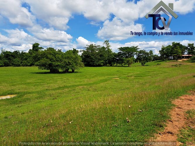 Finca en Venta en Peroles, Barrancabermeja - Miniatura 17
