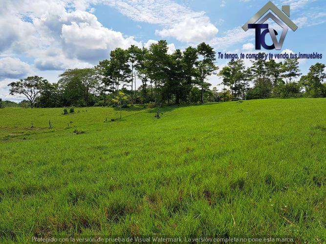 Finca en Venta en Peroles, Barrancabermeja - Miniatura 19