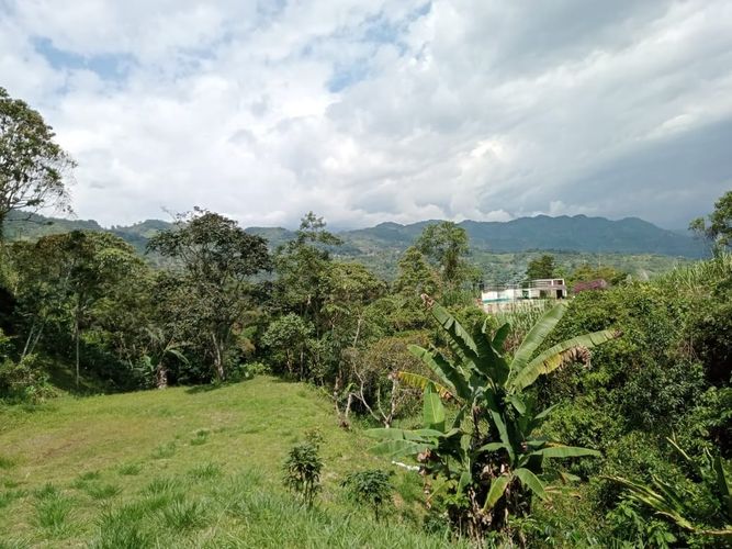 Finca en Venta en Vergara - Miniatura 30