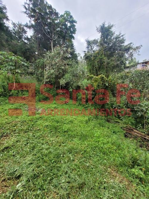 Finca en Arriendo en Guarne - Miniatura 21