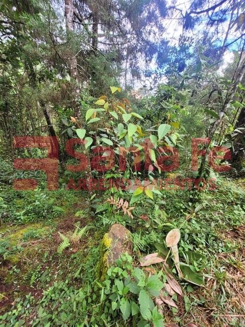 Finca en Arriendo en Guarne - Miniatura 22