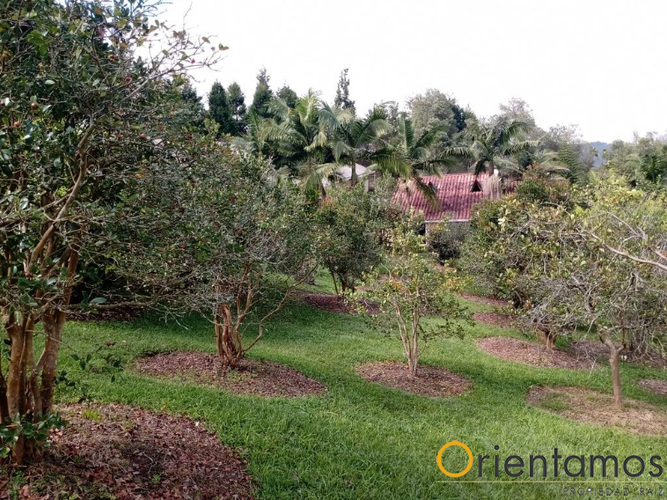 Finca en  Venta en El salado, Guarne - Miniatura 24