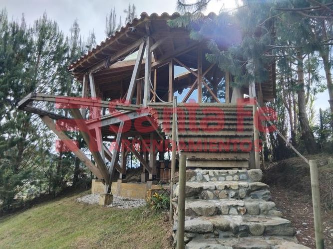 Finca en Arriendo en Viboral, El carmen de viboral - Miniatura 22