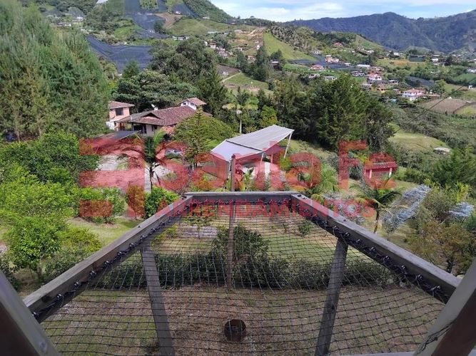 Finca en Arriendo en Viboral, El carmen de viboral - Miniatura 24