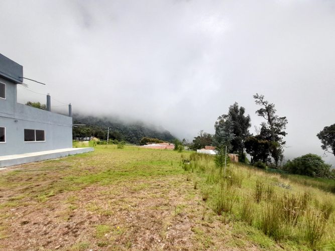 Finca en  Arriendo en Parque de Caldas, Caldas - Miniatura 10