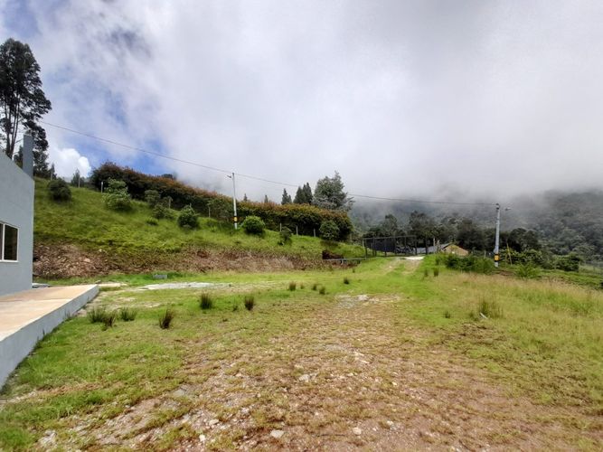 Finca en  Arriendo en Parque de Caldas, Caldas - Miniatura 11