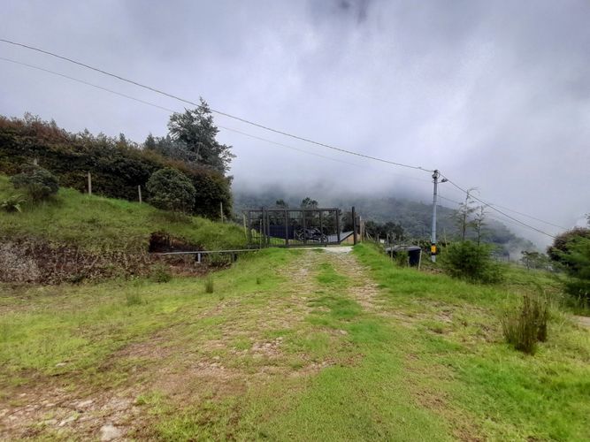 Finca en  Arriendo en Parque de Caldas, Caldas - Miniatura 12