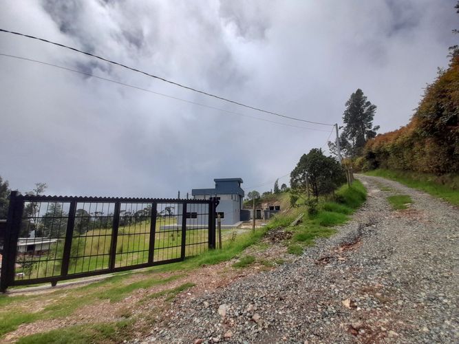 Finca en  Arriendo en Parque de Caldas, Caldas - Miniatura 14