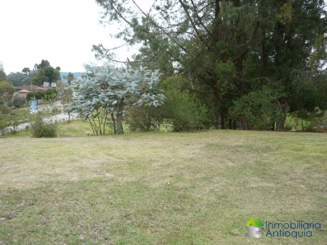 Finca en Venta en La china, San pedro - Imagen 1