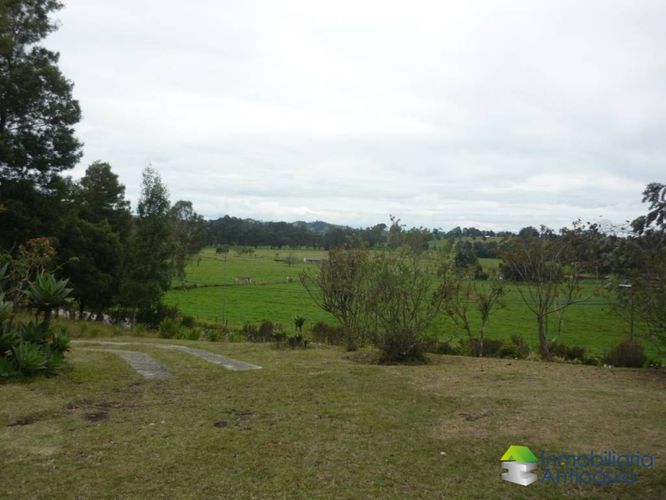 Finca en Venta en La china, San pedro - Miniatura 2