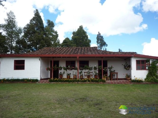 Finca en Venta en La china, San pedro - Miniatura 3
