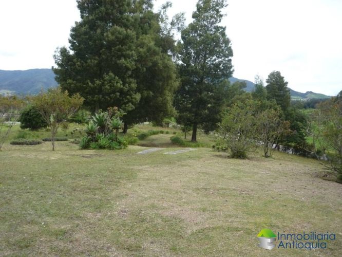 Finca en Venta en La china, San pedro - Miniatura 4