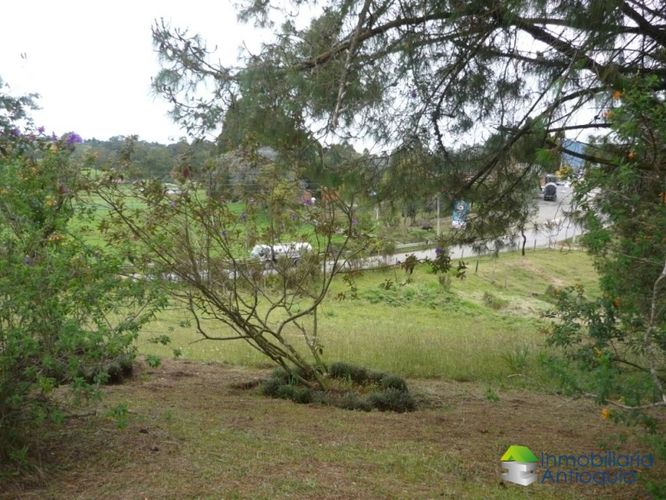 Finca en Venta en La china, San pedro - Miniatura 5