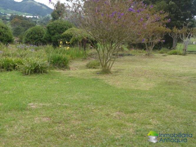 Finca en Venta en La china, San pedro - Miniatura 6