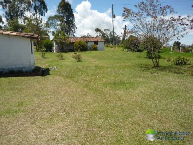 Finca en Venta en La china, San pedro - Miniatura 8