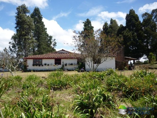 Finca en Venta en La china, San pedro - Miniatura 9