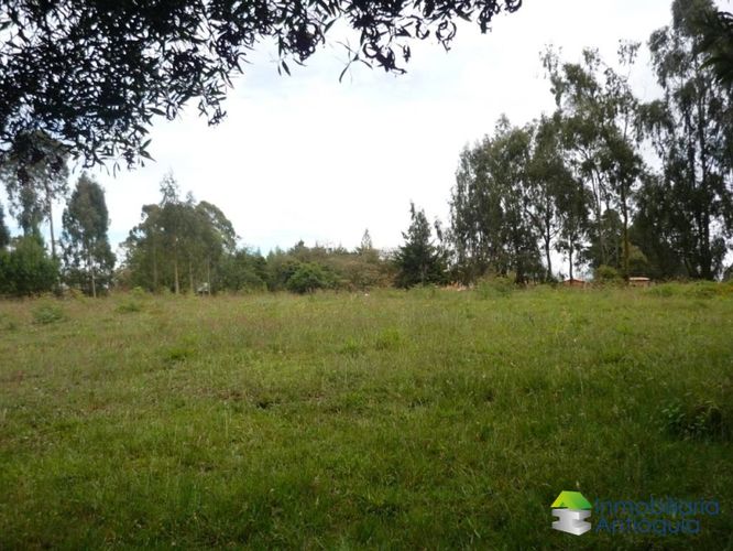 Finca en Venta en La china, San pedro - Miniatura 10