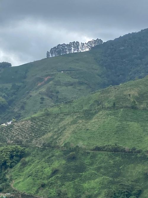 Finca en venta en Santuario - Miniatura 5
