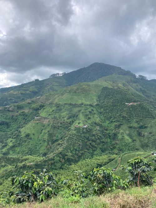 Finca en venta en Santuario - Miniatura 8