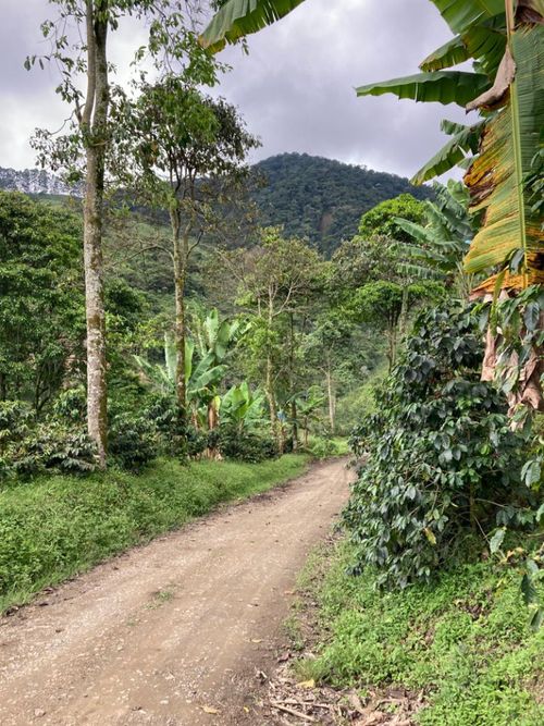 Finca en venta en Santuario - Miniatura 9
