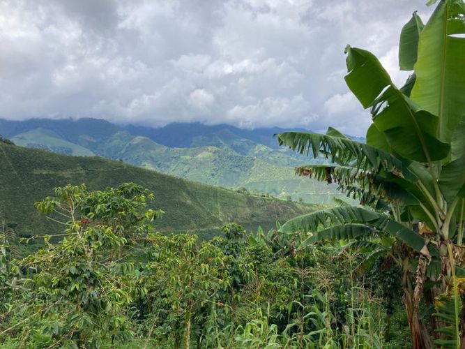Finca en venta en Santuario - Miniatura 10