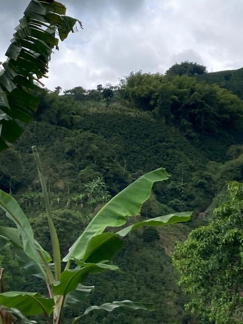 Finca en venta en Santuario - Miniatura 13