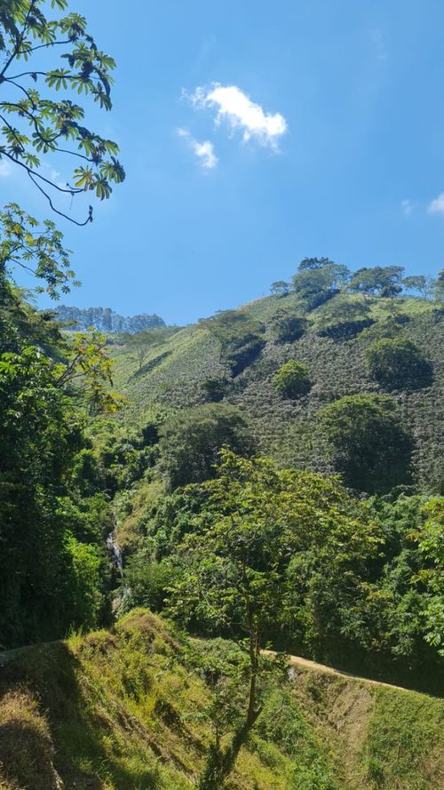 Finca en venta en Santuario - Miniatura 18