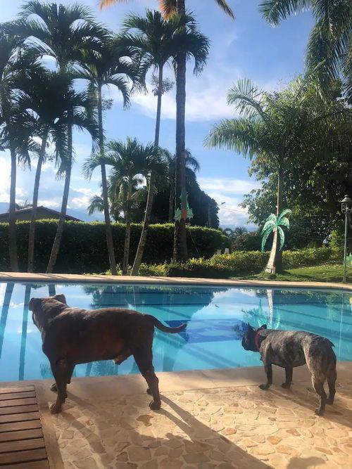 Finca en venta en Medellín - Miniatura 9