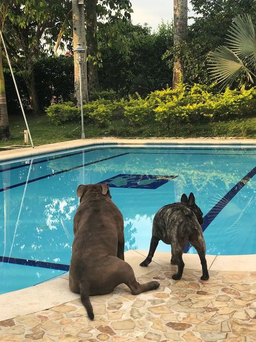 Finca en venta en Medellín - Miniatura 10