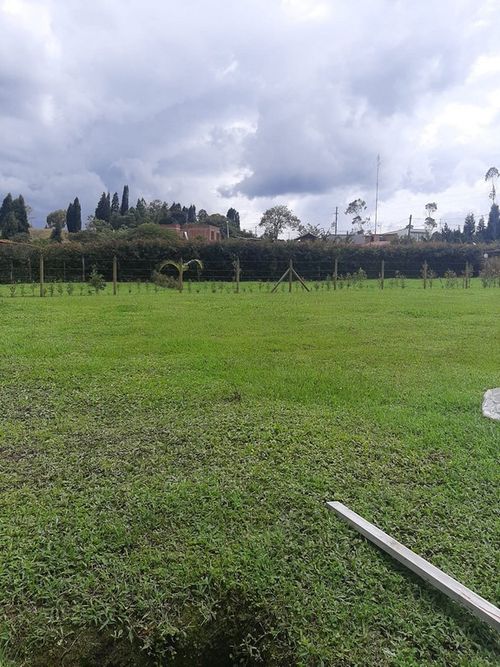 Finca en Arriendo en Hojas anchas, Guarne - Miniatura 20